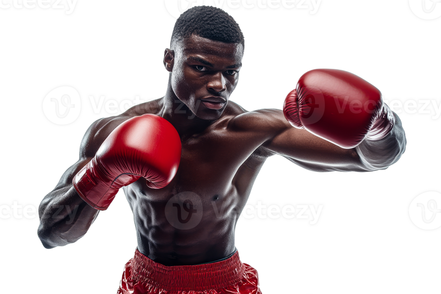 Boxer training in red gloves with determined focus png