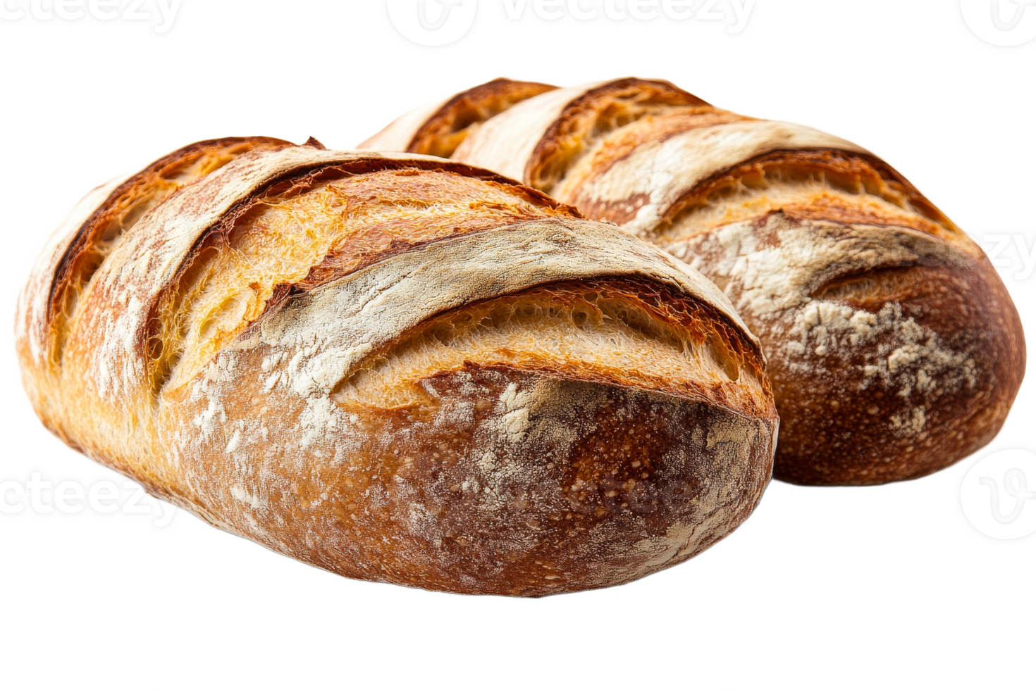 Freshly baked bread loaves on a transparent background png