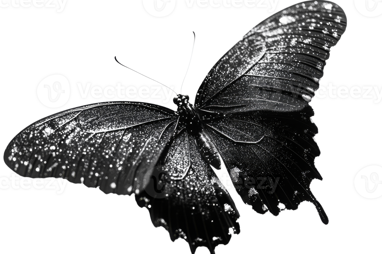 Sparkling black butterfly on transparent background png