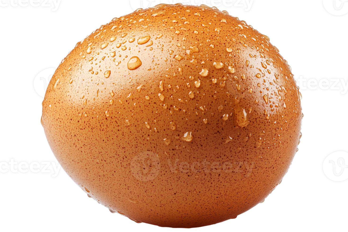 Close up of a wet brown egg with droplets on surface png