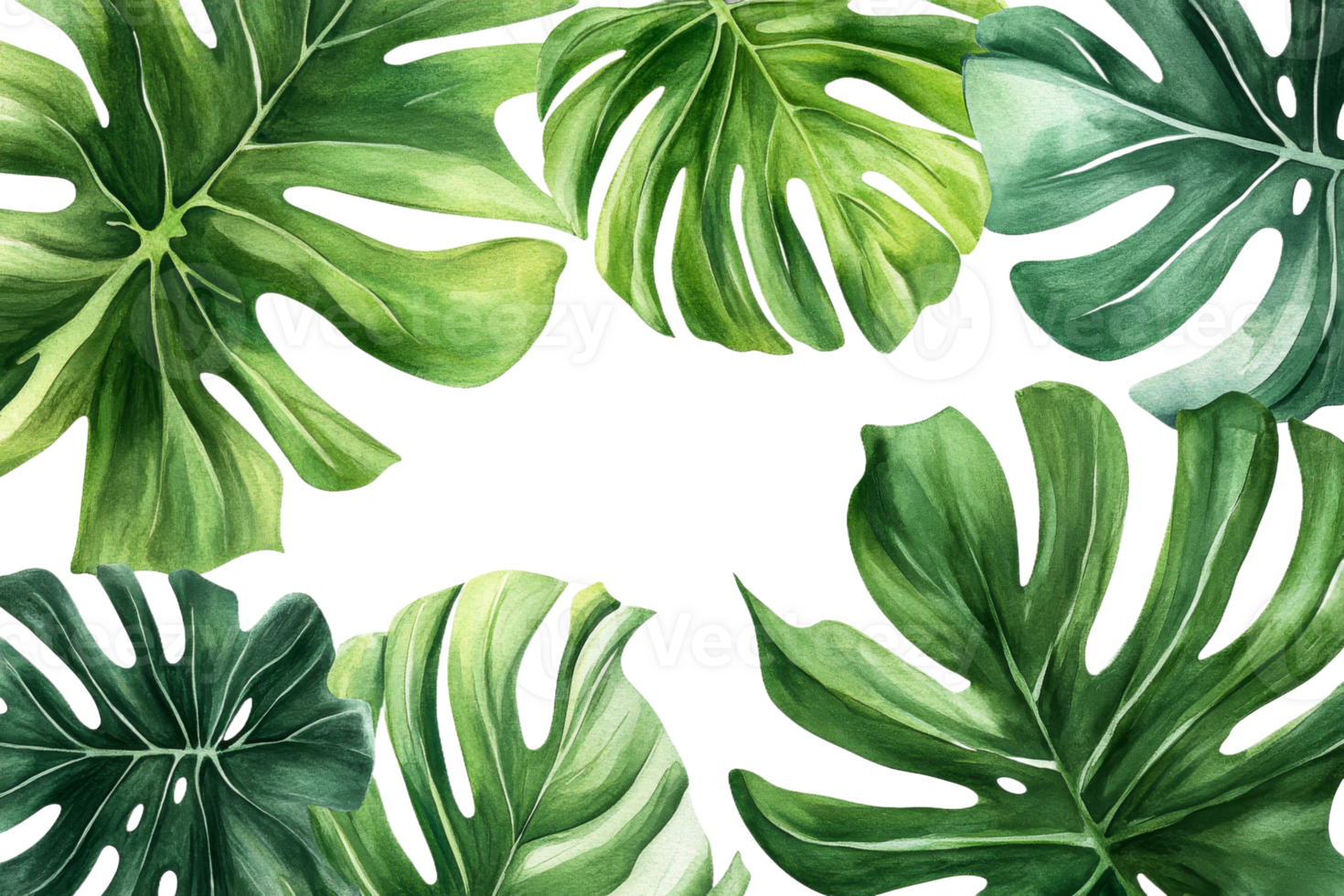 Green tropical leaves arranged on a transparent background png