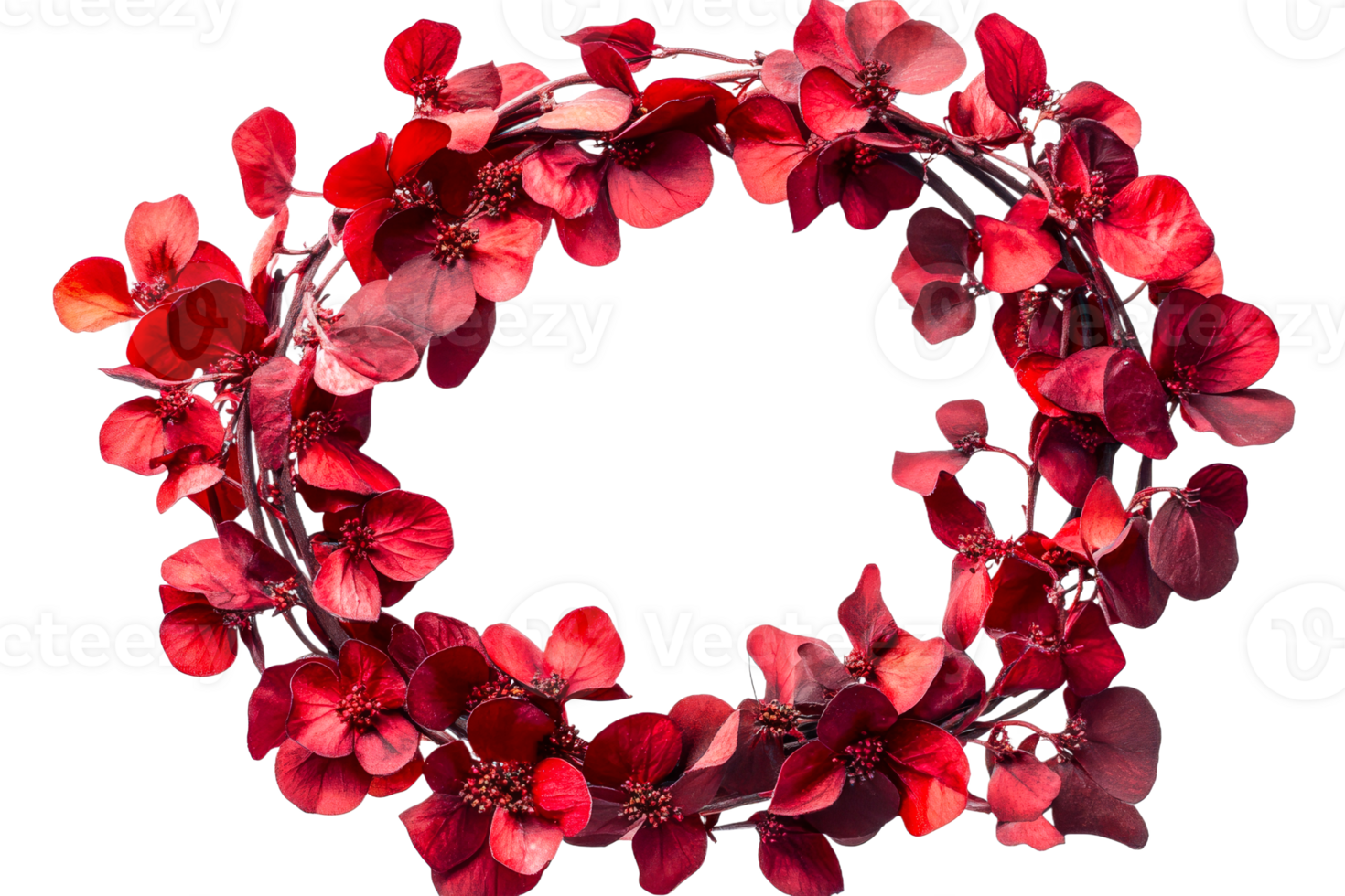 Beautiful red flower wreath on transparent background png