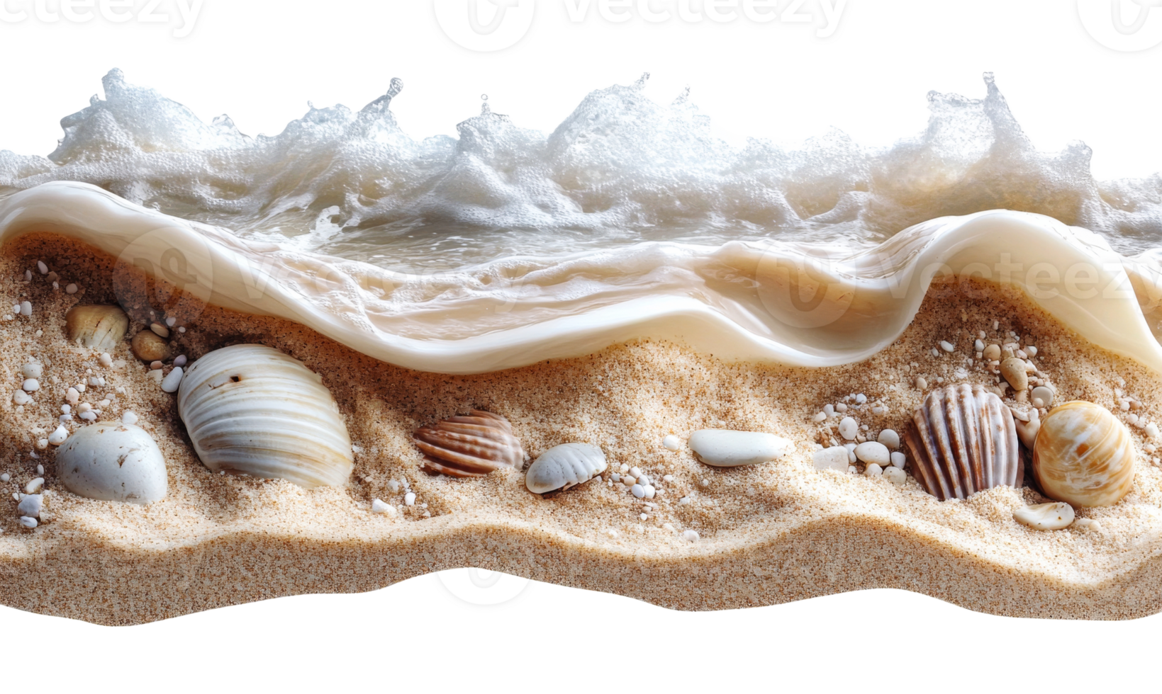 Ocean wave with shells on sandy beach shore line png