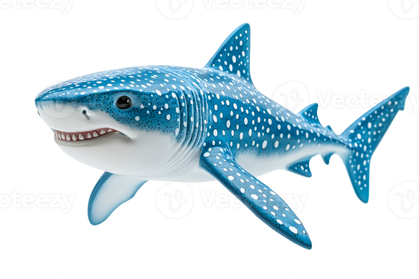 Colorful shark model with a transparent background png