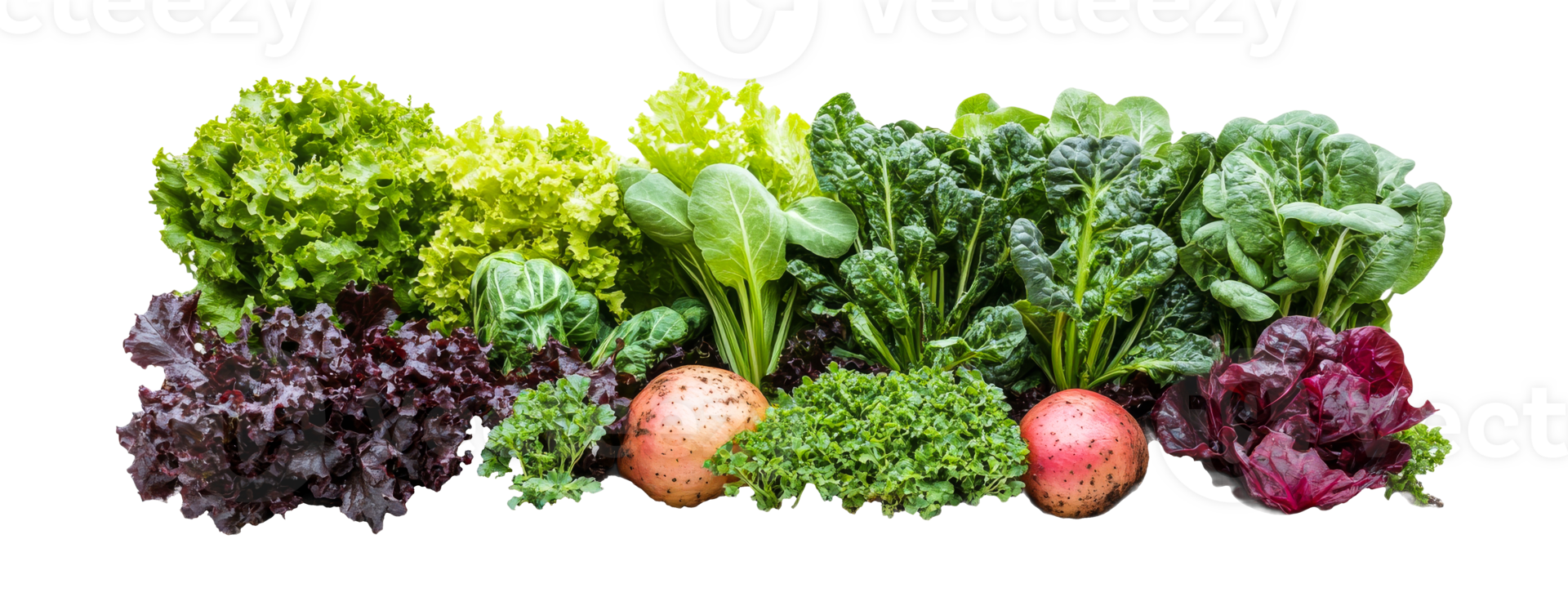 Greens and potatoes on a clear background png