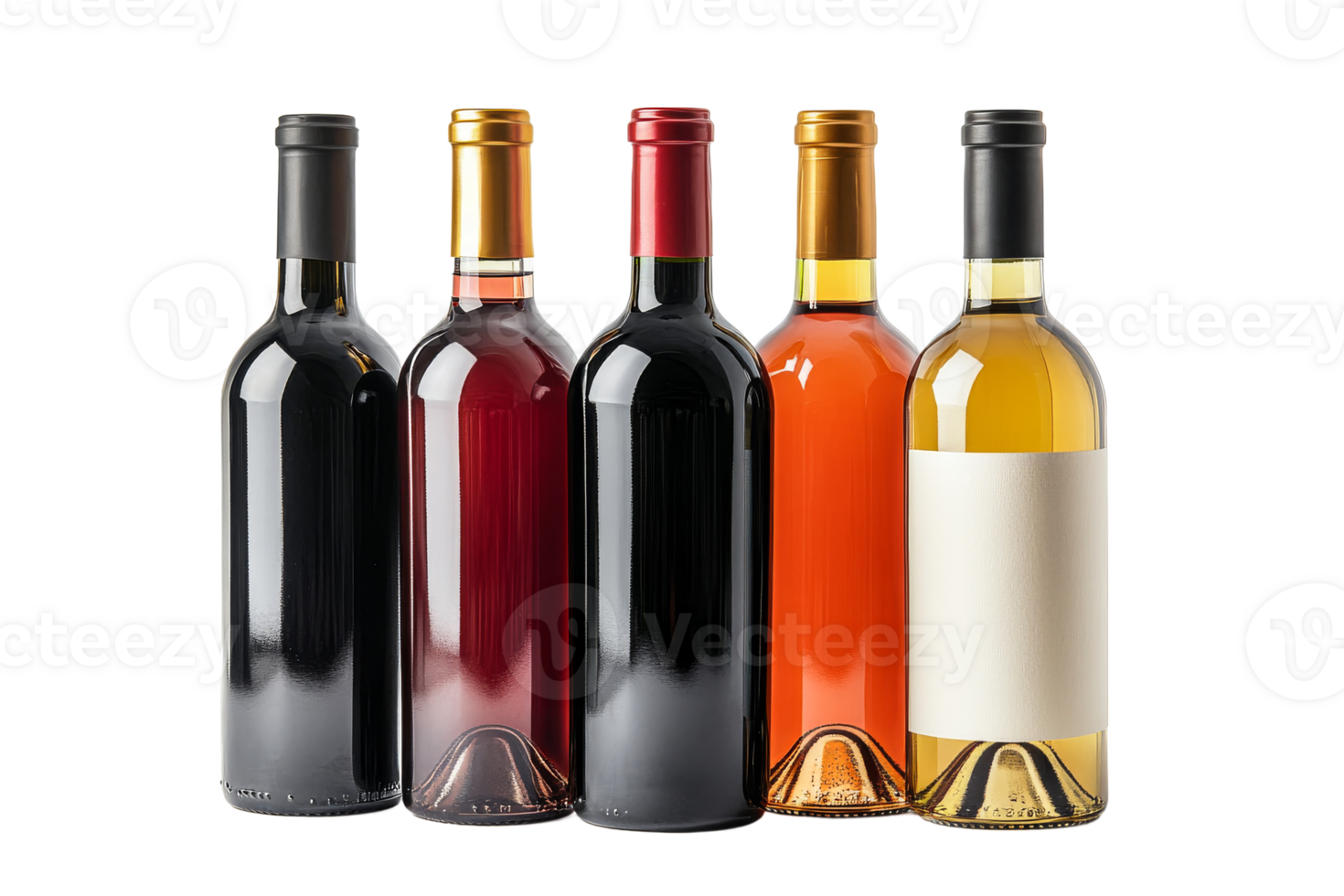 Selection of wine bottles with different colors and styles png