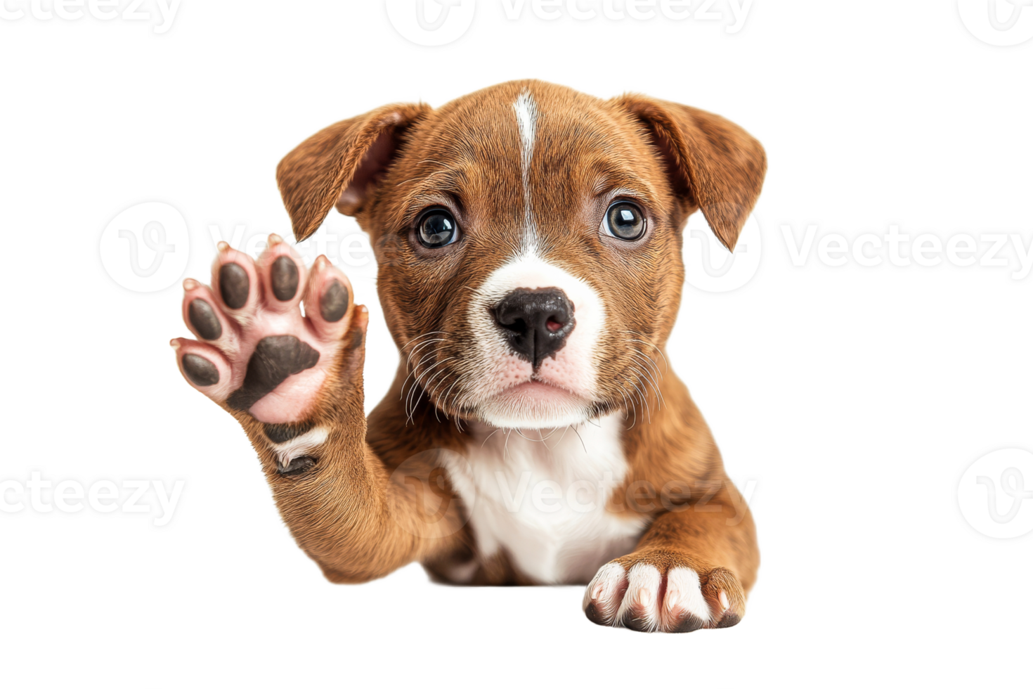 Cute puppy waving hello with a friendly expression png
