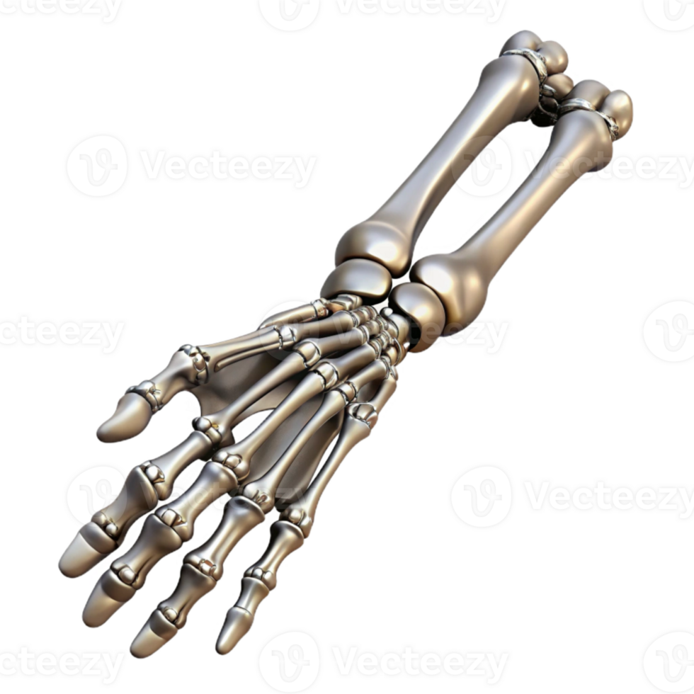 wonderful contemporary Metallic Skeleton Arm Extended Pose Isolated authentic png