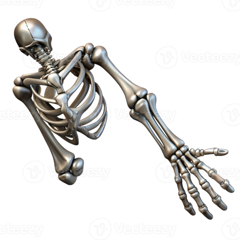 stunning creative Metallic Skeleton Arm Extended Pose Isolated exclusive png