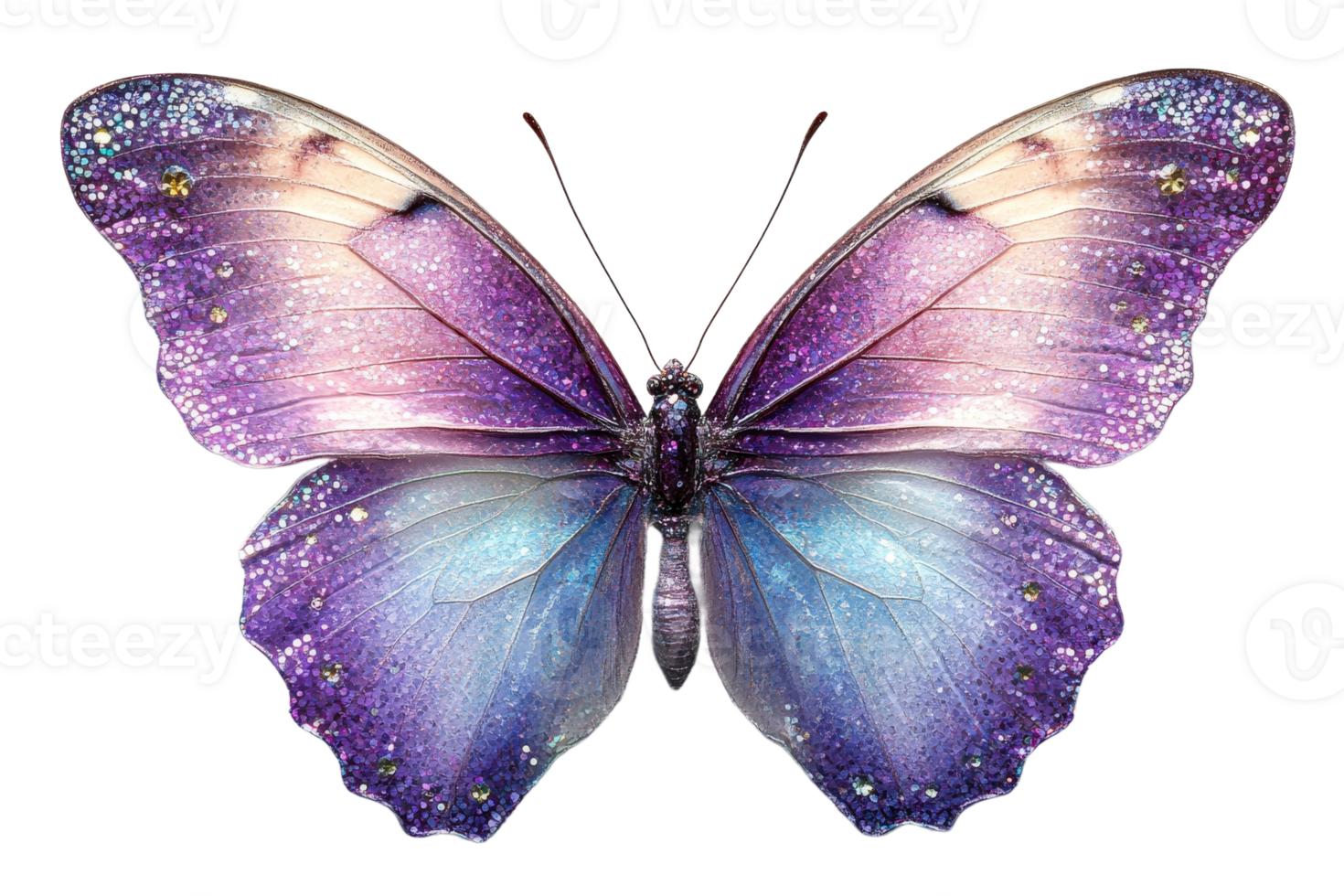 Vibrant butterfly with shiny wings on a clear bg png