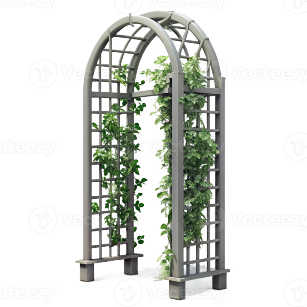 serene artistic Metal Trellis with Climbing Plants Cutout Isolated Element professional png