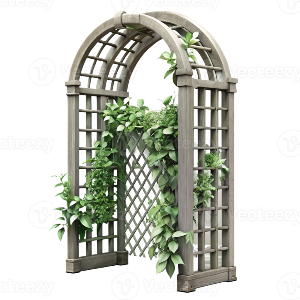 elegant classic Metal Trellis with Climbing Plants Cutout Isolated Element genuine png