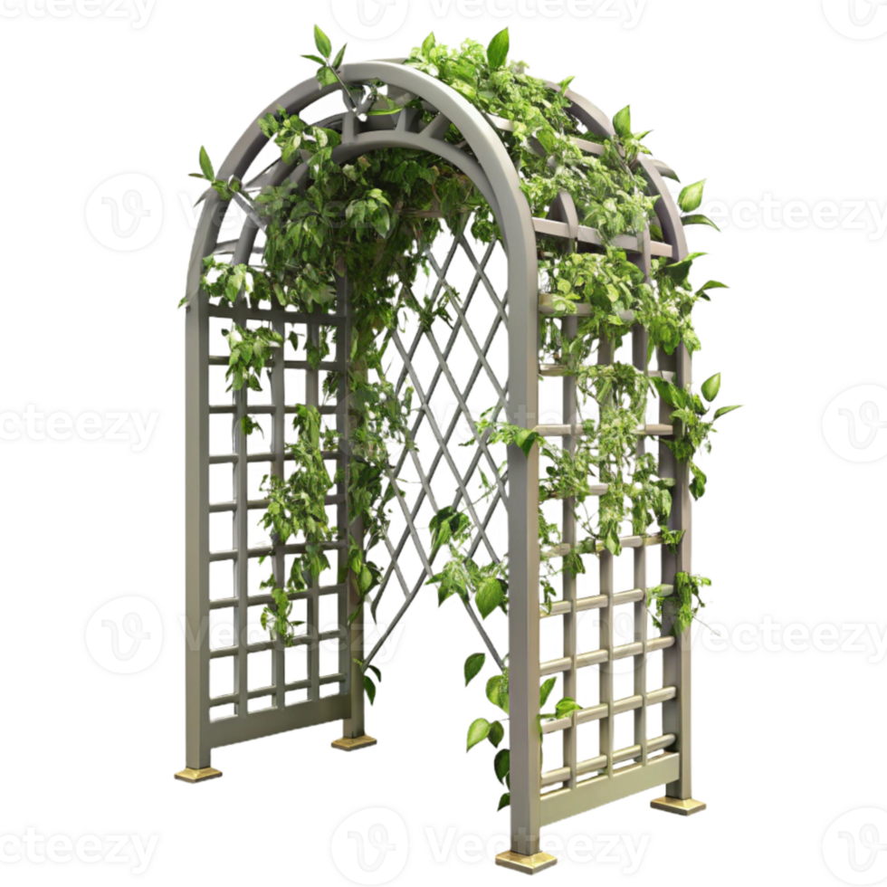 extraordinary minimalist Metal Trellis with Climbing Plants Cutout Isolated Element exclusive png