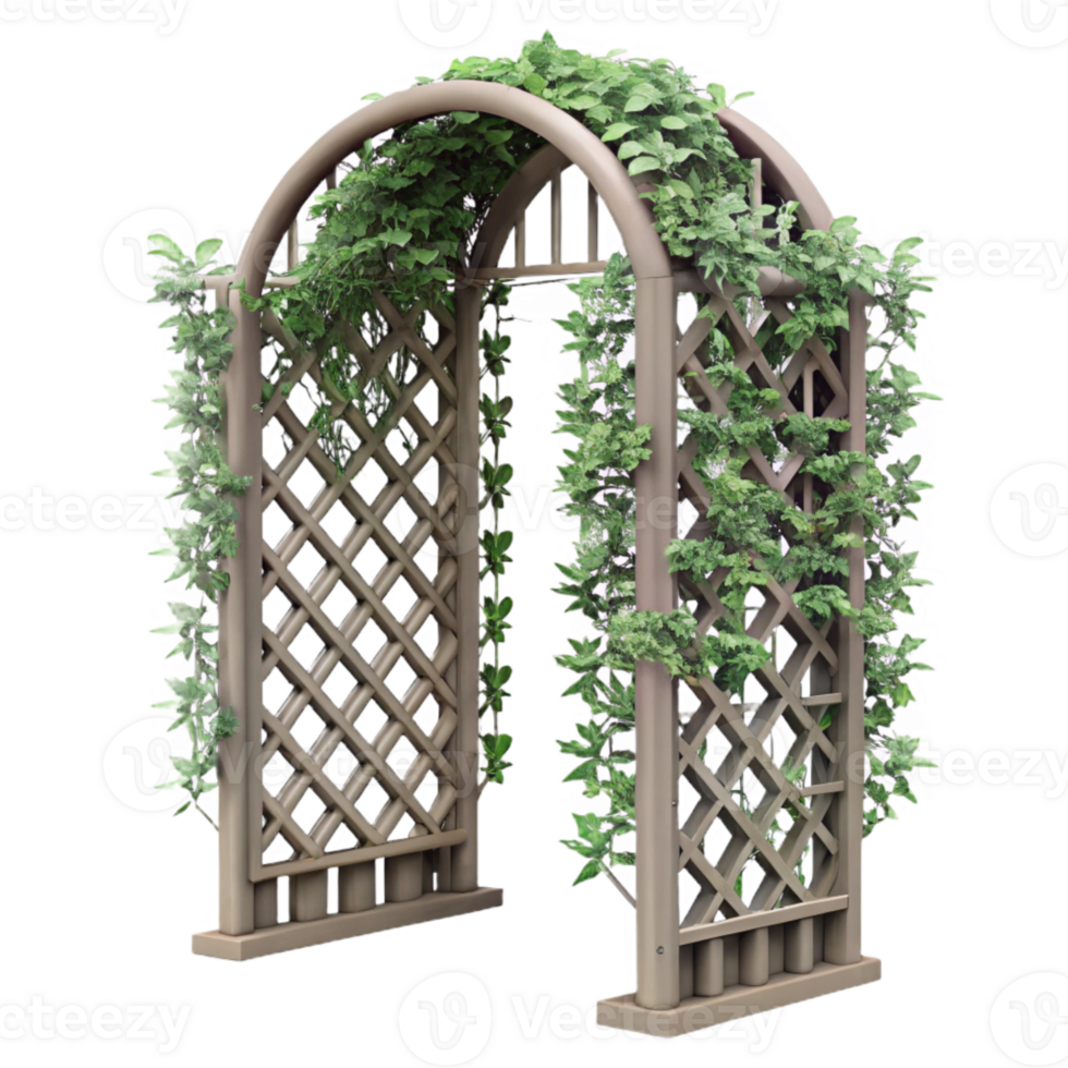 beautiful creative Metal Trellis with Climbing Plants Cutout Isolated Element authentic png