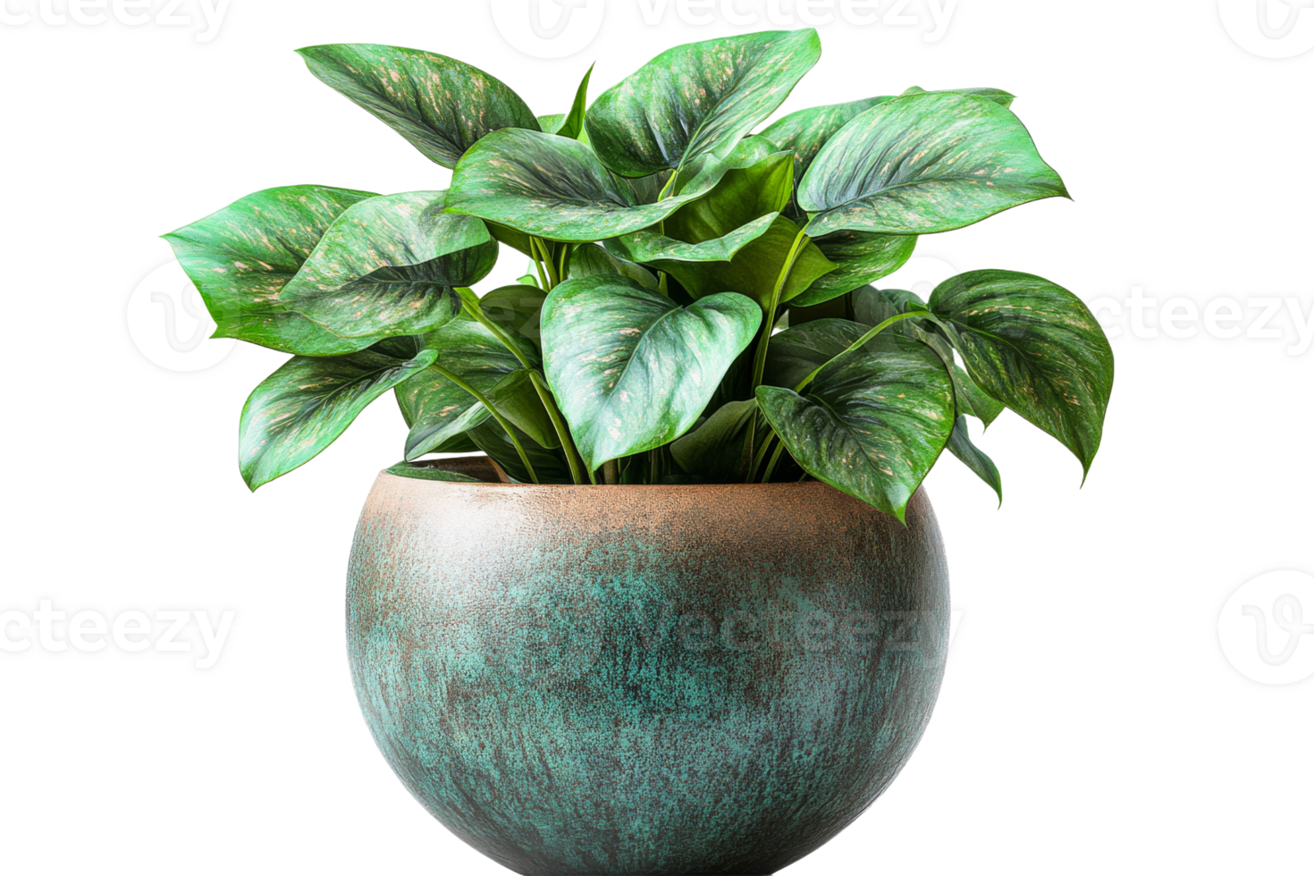 Green indoor plant in decorative pot with smooth texture png