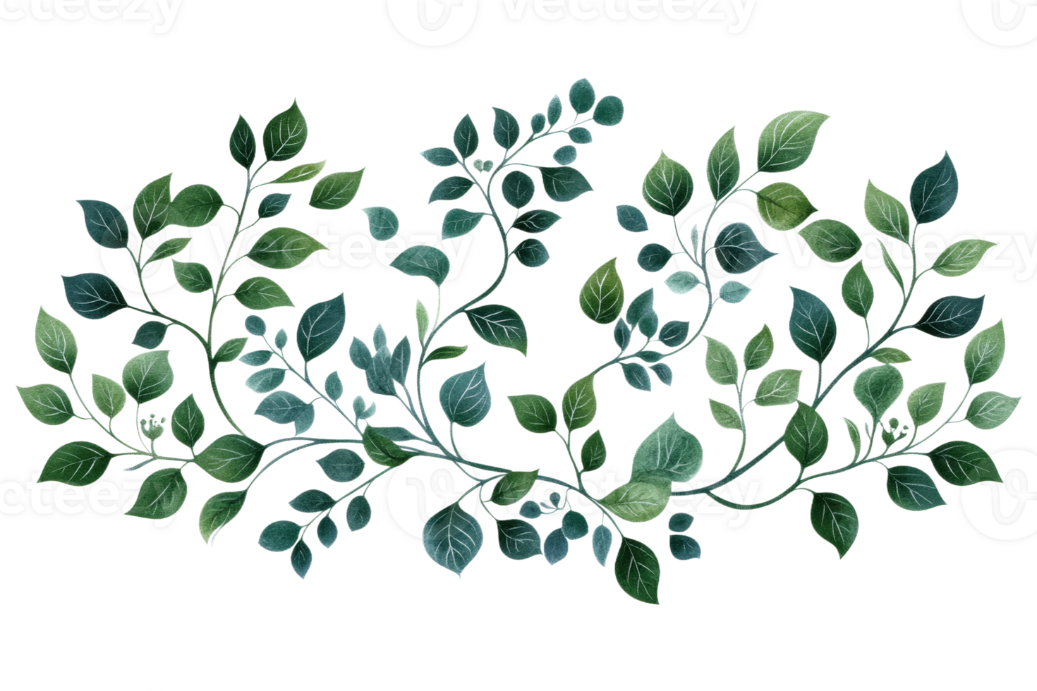 Green leaf design on a transparent background png