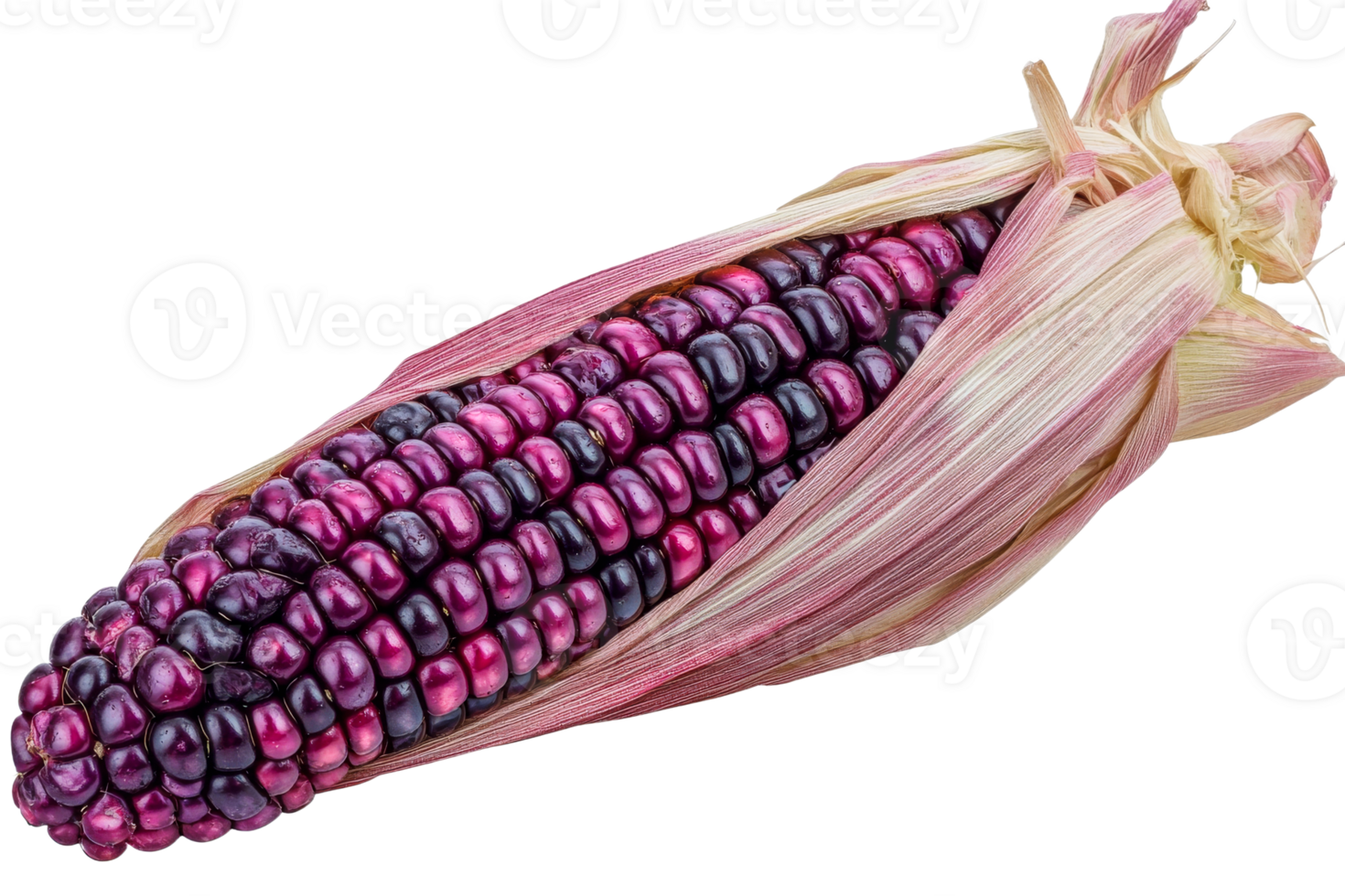 Purple corn ear with husk on clear background png