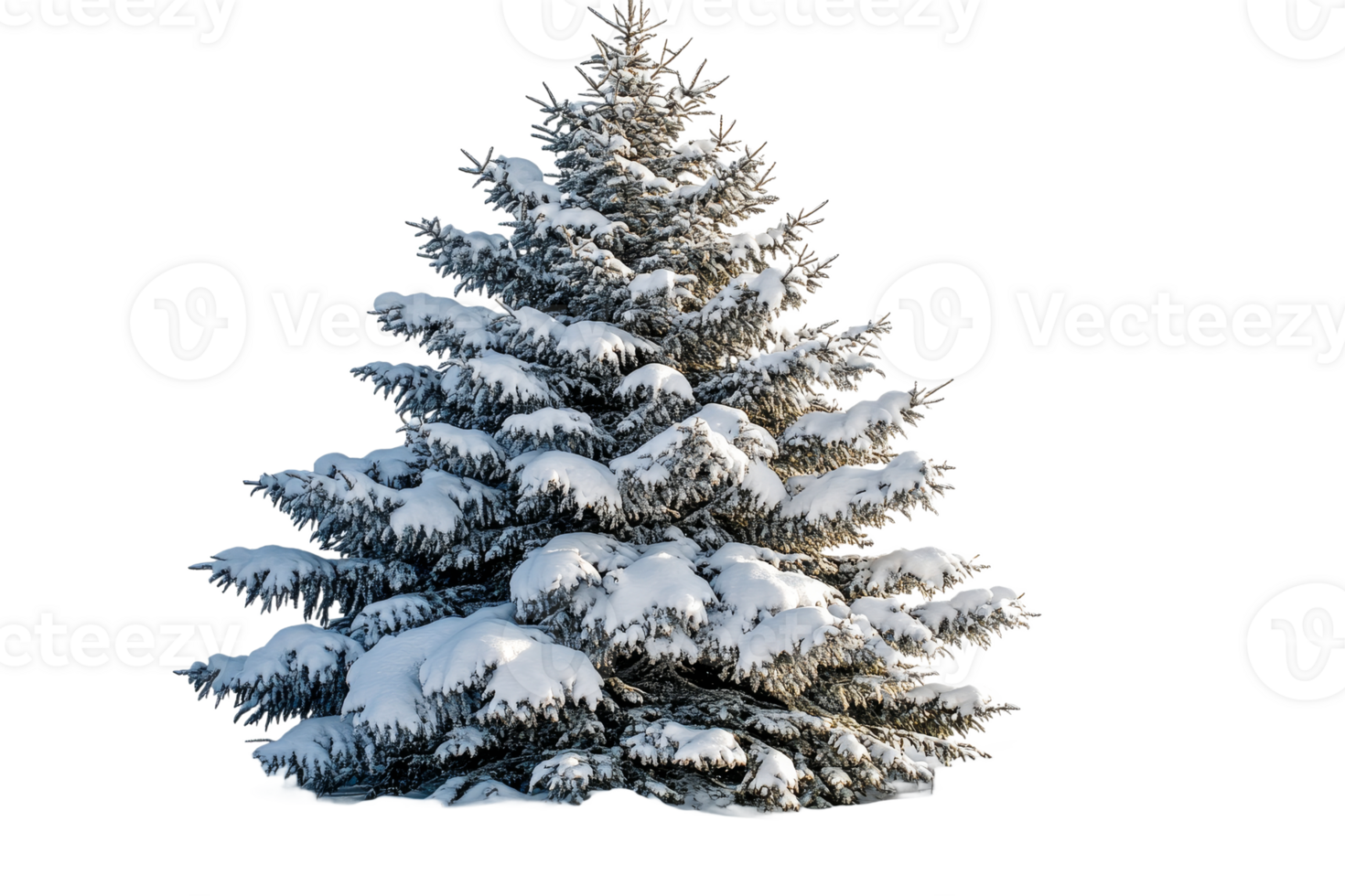 Snow covered evergreen tree in a winter landscape png