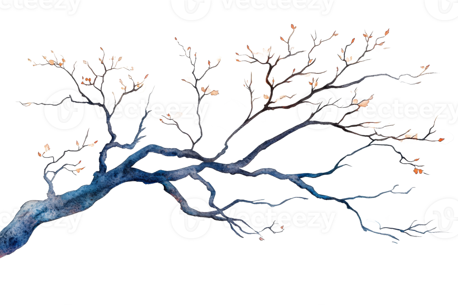 Artistic representation of a tree branch with no leaves png