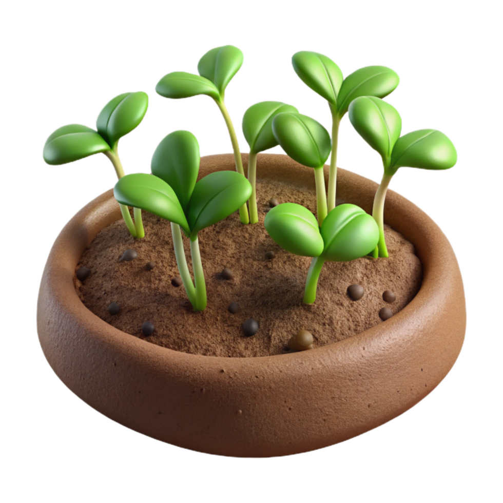 magnificent vintage Microgreens Growing in Soil Close Up Cutout genuine png