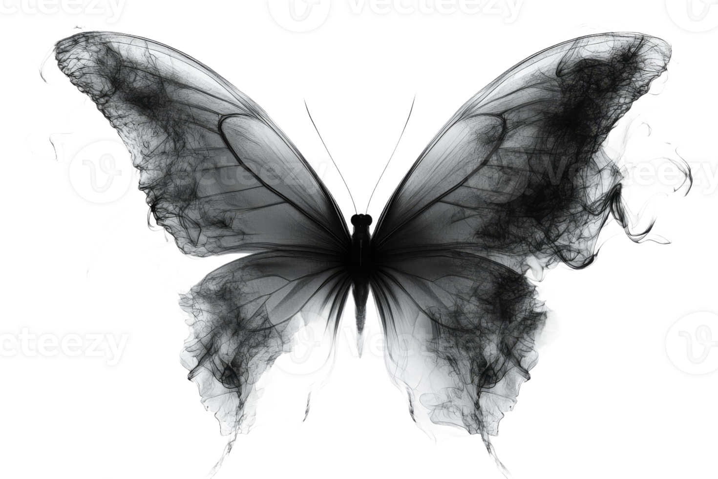 Elegant black butterfly with transparent wings png