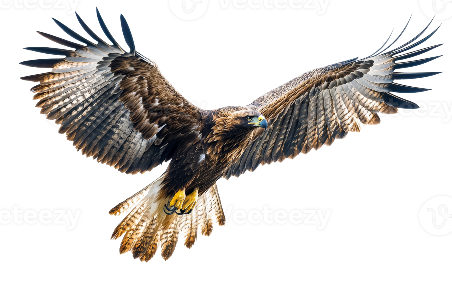Majestic eagle soaring through the sky with wings spread png