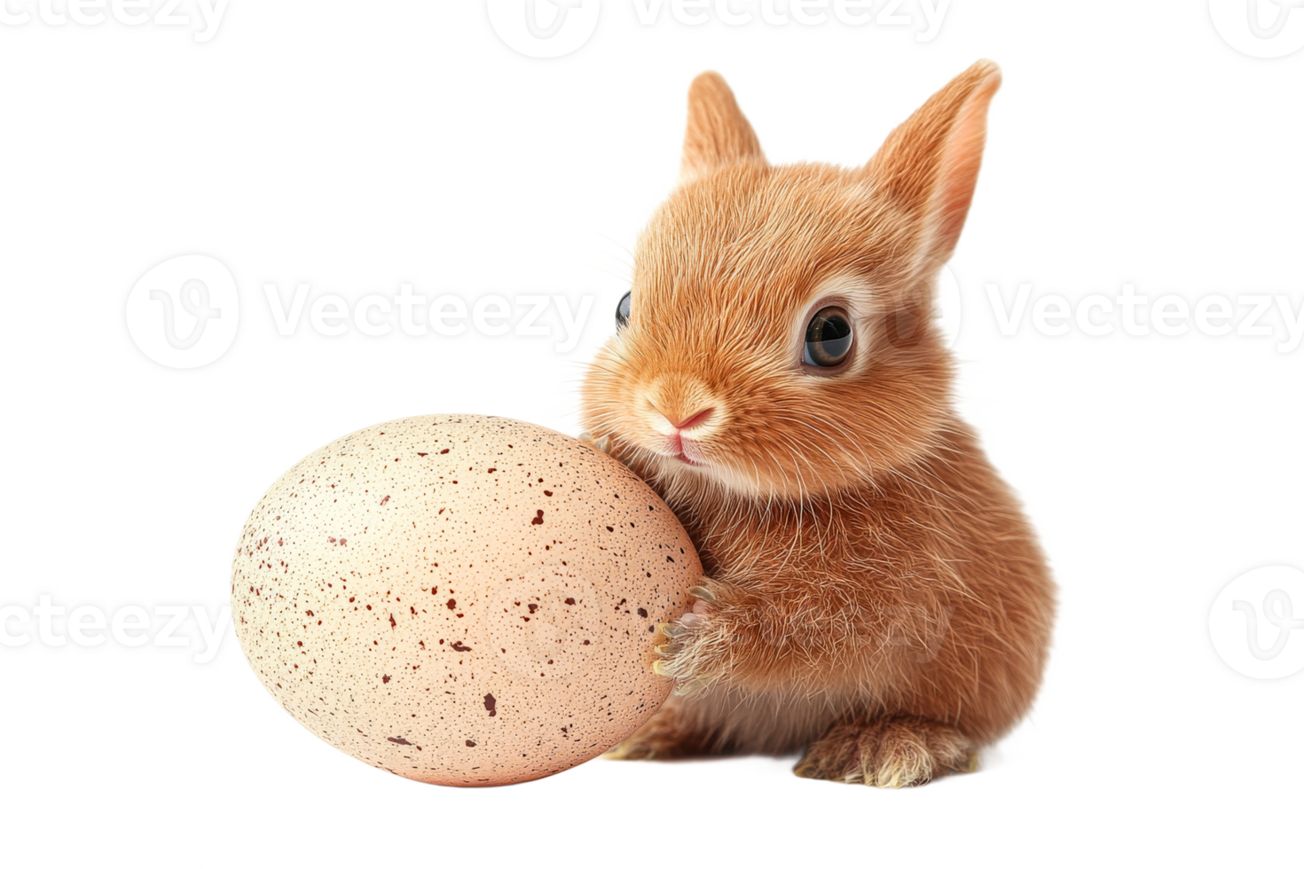Bunny with a speckled egg on a clear background png