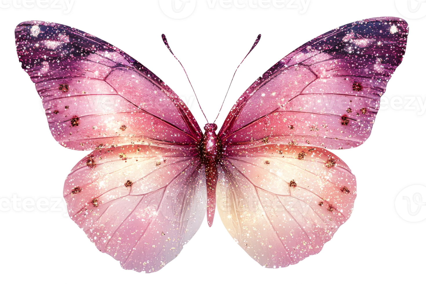 Vibrant butterfly on a clear background png