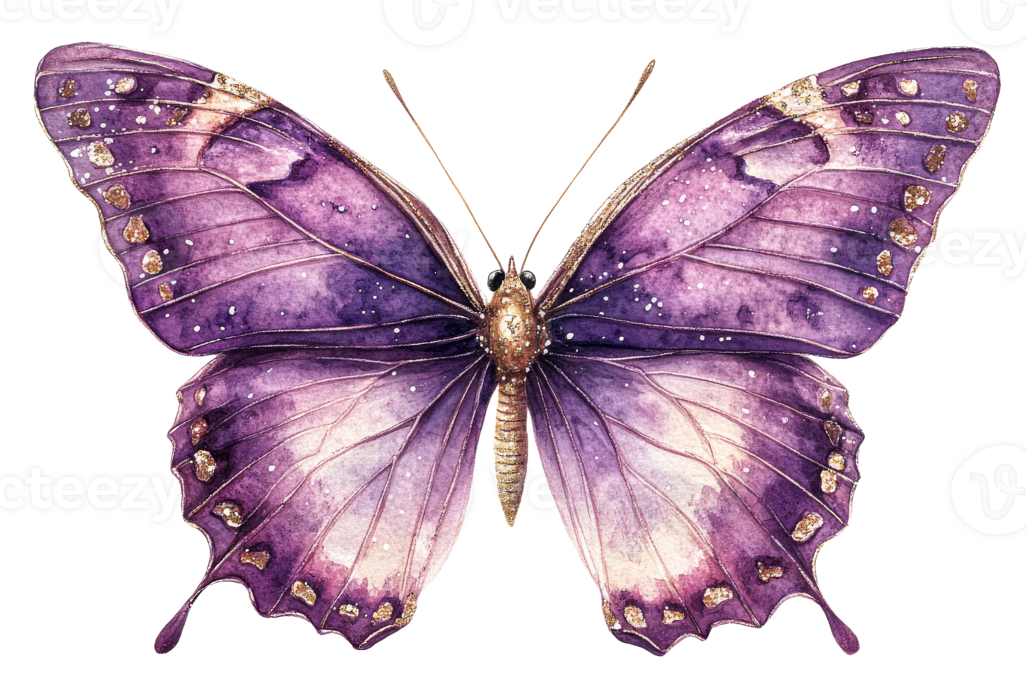 Beautiful purple butterfly with transparent wings png