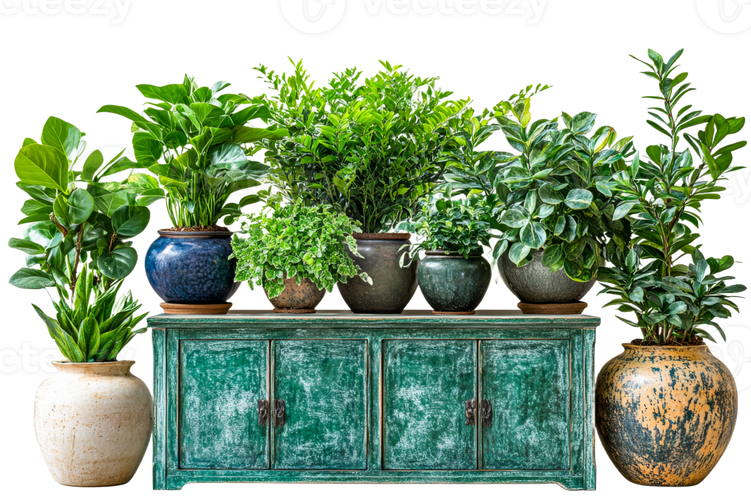 Lush indoor plants arranged on a rustic green cabinet png