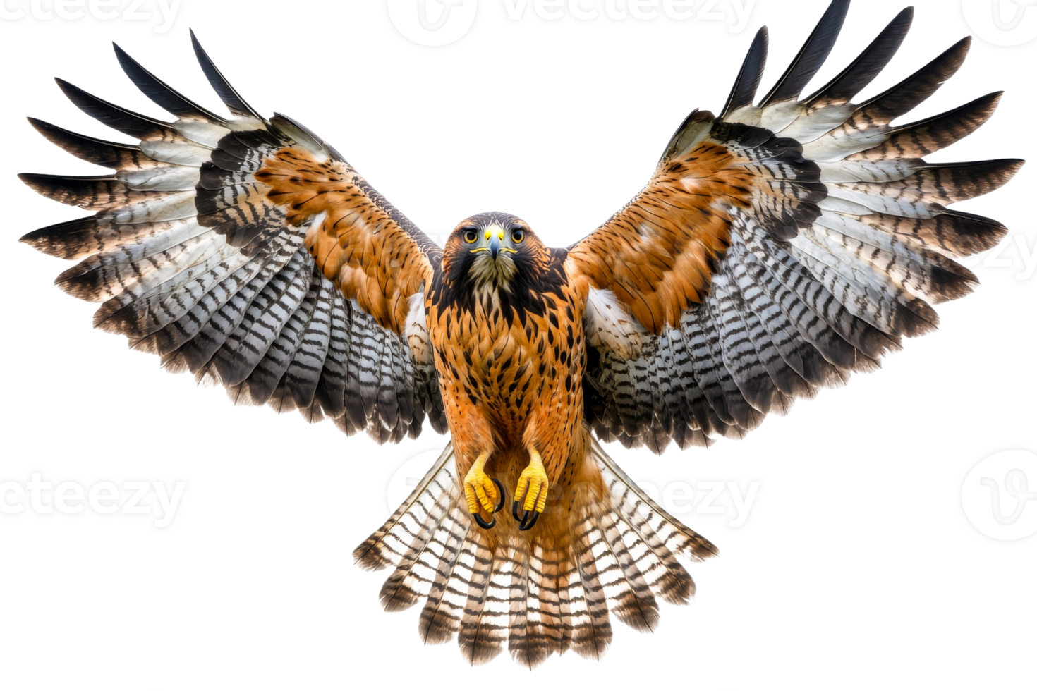 Majestic hawk soaring in open sky with wings outstretched png