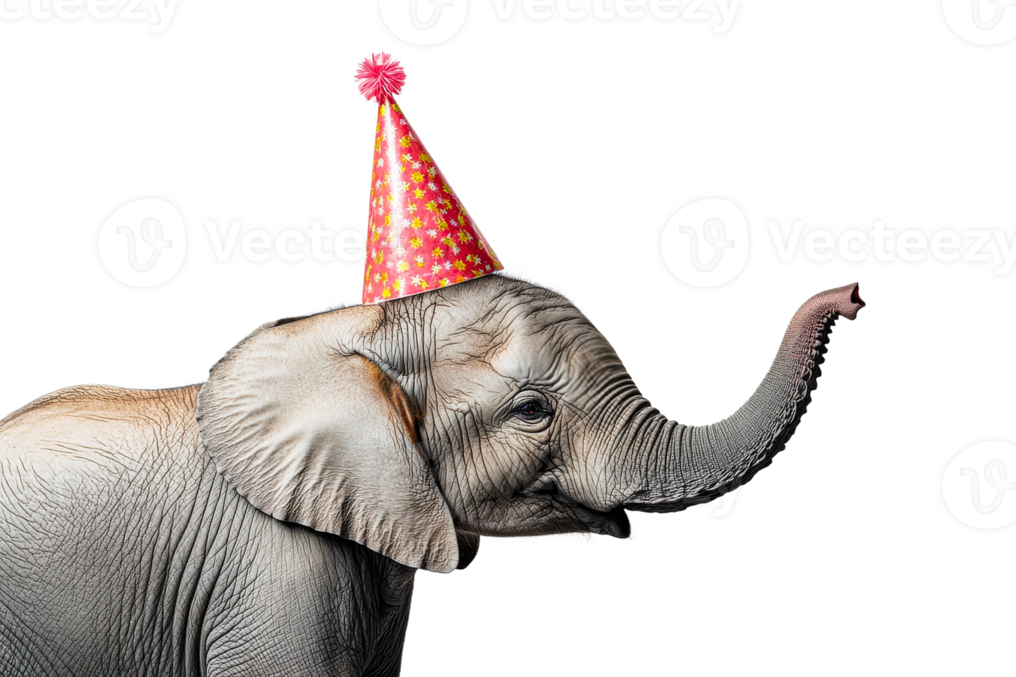Elephant celebrates with a birthday hat on its head png