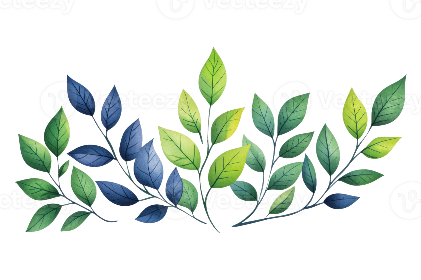 Green and blue leafy branches with transparent background png