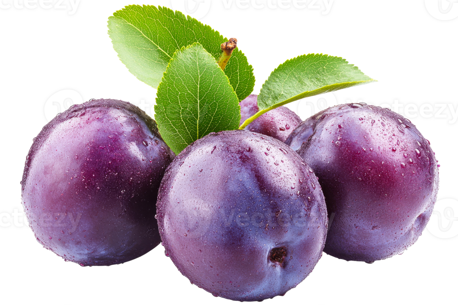 Fresh plums with leaves on a transparent background png