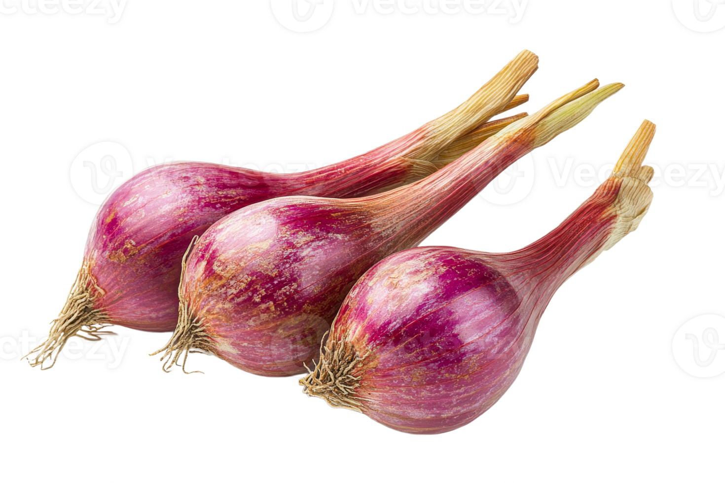 Fresh shallots on transparent background for culinary use png