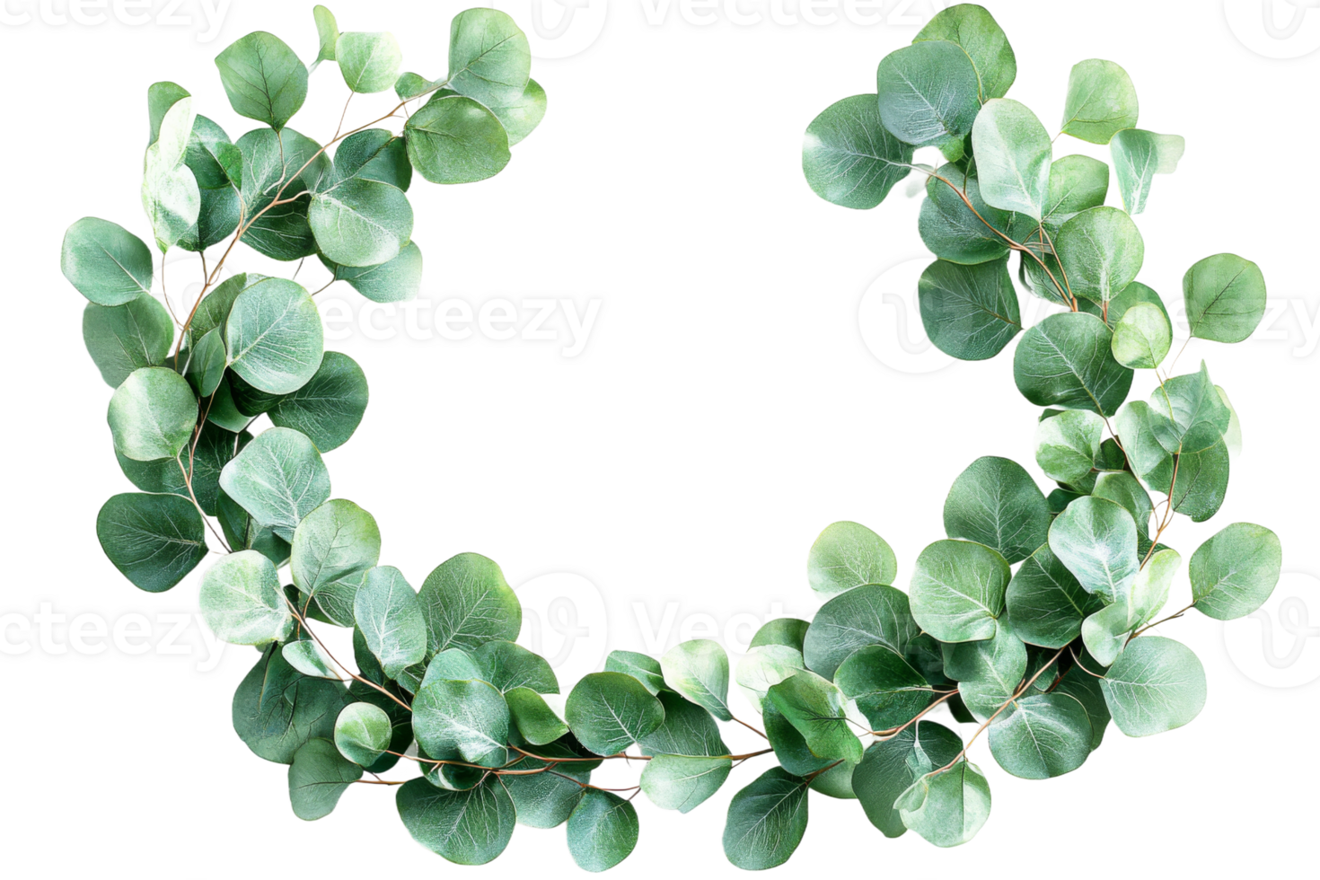 Elegant green leaves arranged in a circular design png