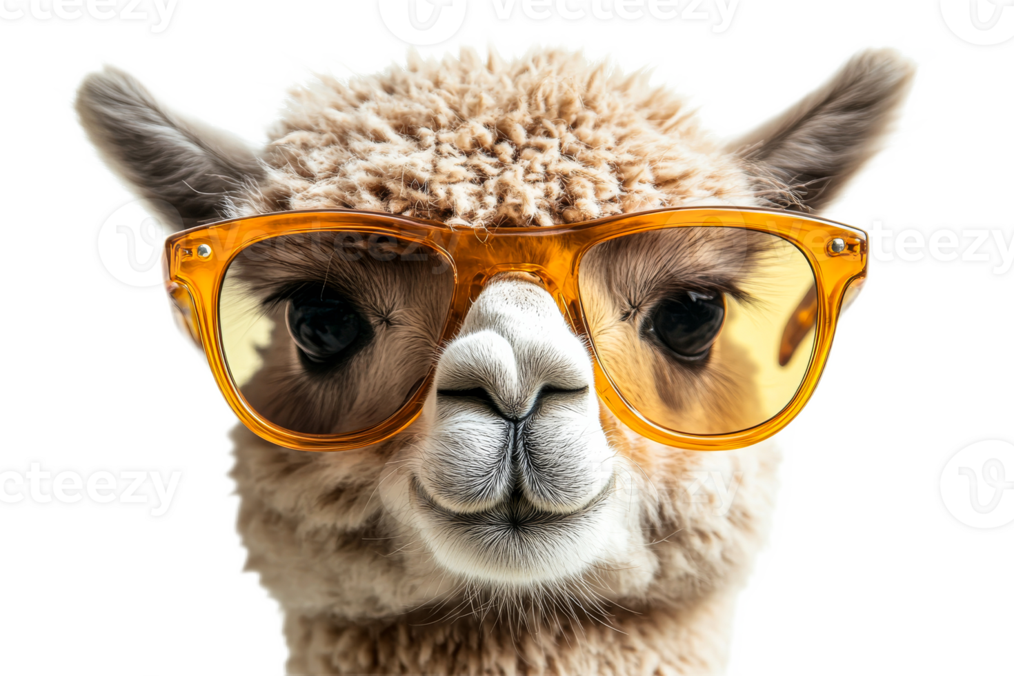 Cute alpaca wearing stylish yellow glasses png
