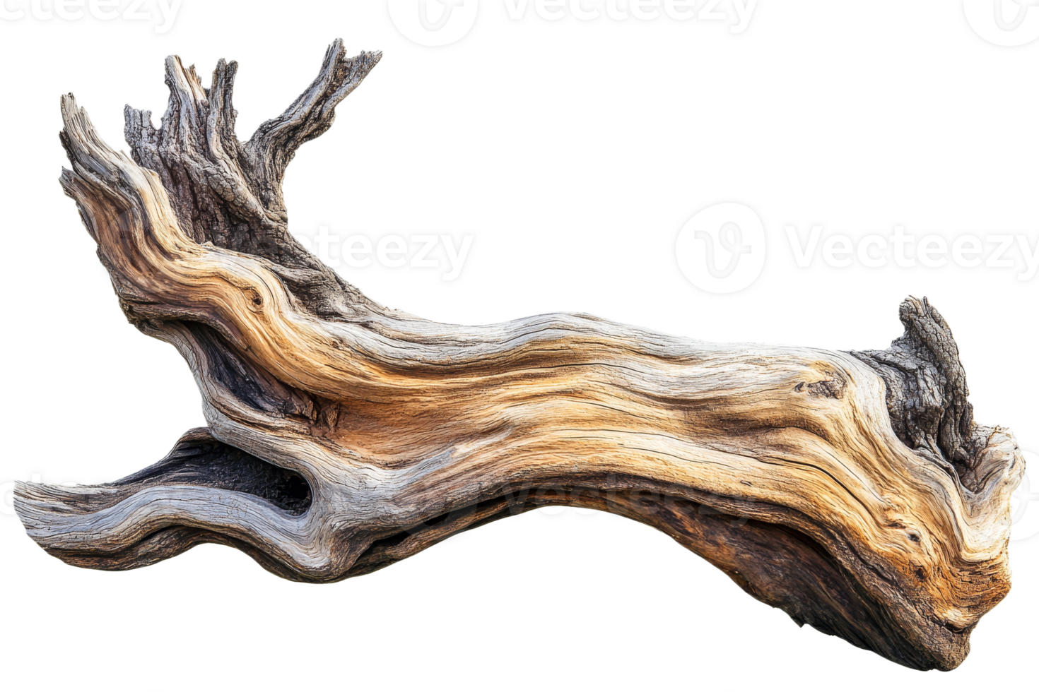 Natural driftwood with intricate textures and patterns png