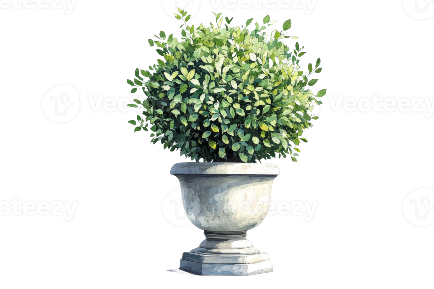 Decorative green shrub in a stone planter png