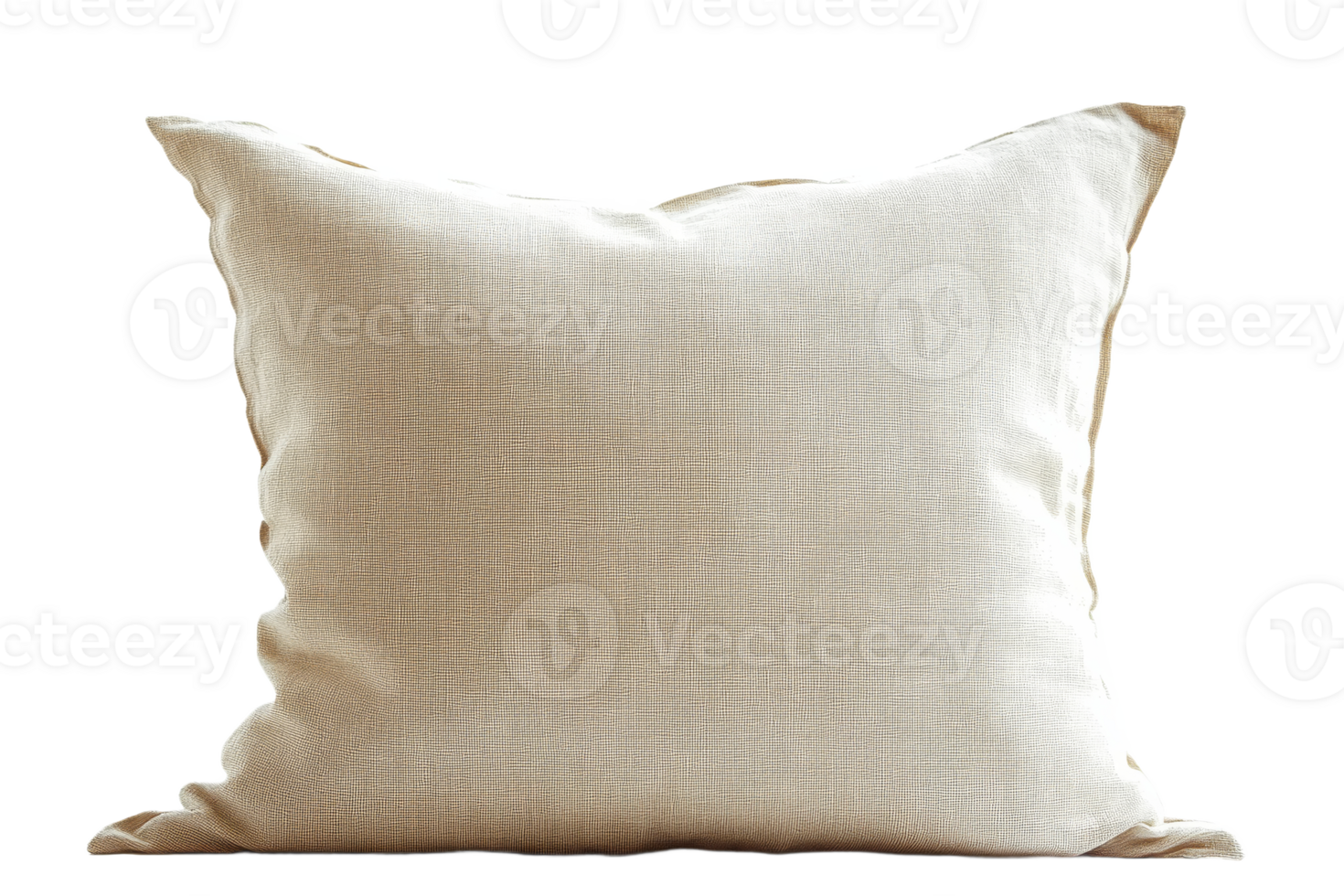 Elegant neutral decorative pillow with soft texture png