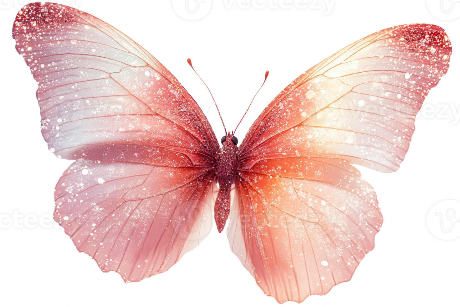 Gorgeous butterfly with shimmering, clear wings png