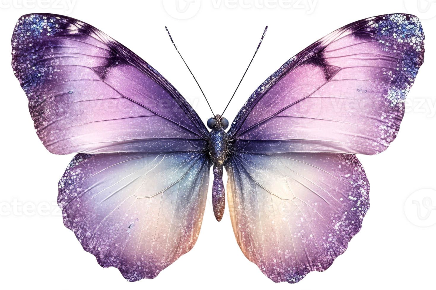 Colorful butterfly with shimmering wings png