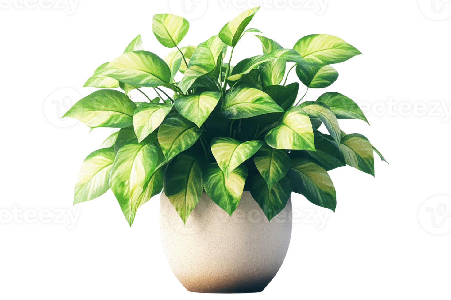 Lush green plant in a simple pot with vibrant leaves png