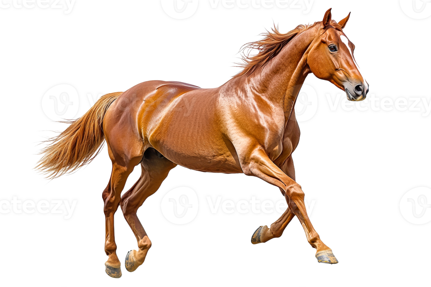 Horse running on a transparent background with grace png