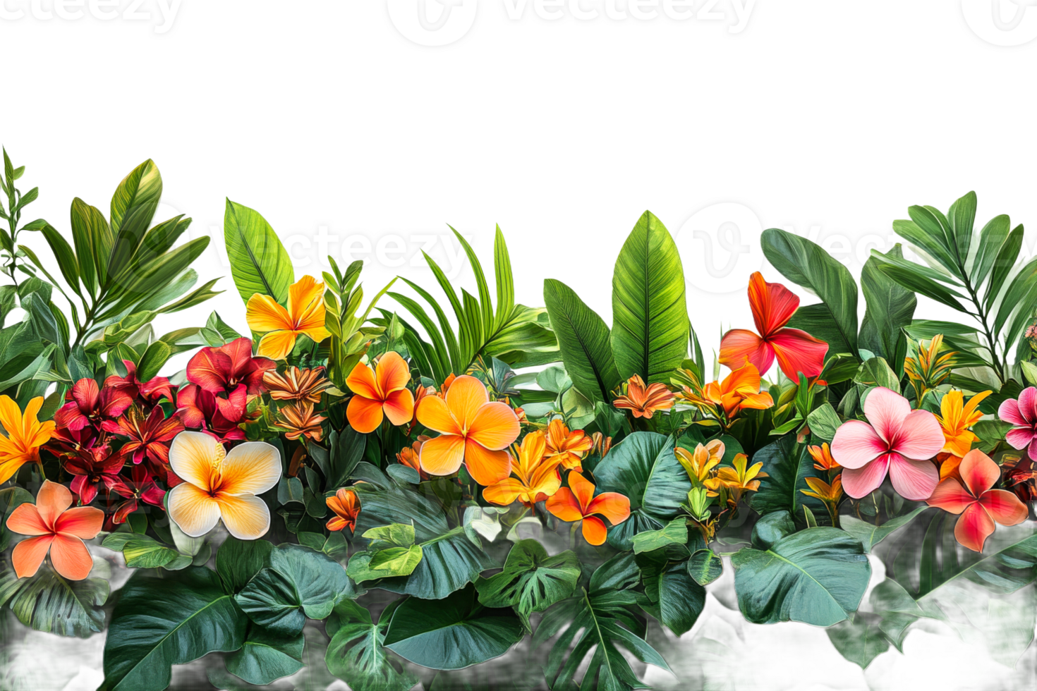 Vibrant tropical flowers with lush greenery on display png
