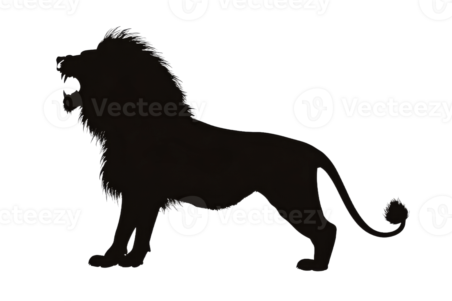 Lion standing tall on a plain backdrop png