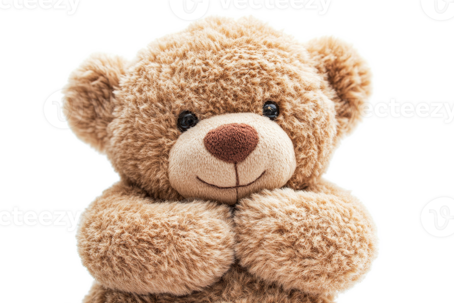 Soft teddy bear with friendly expression and plush fur png
