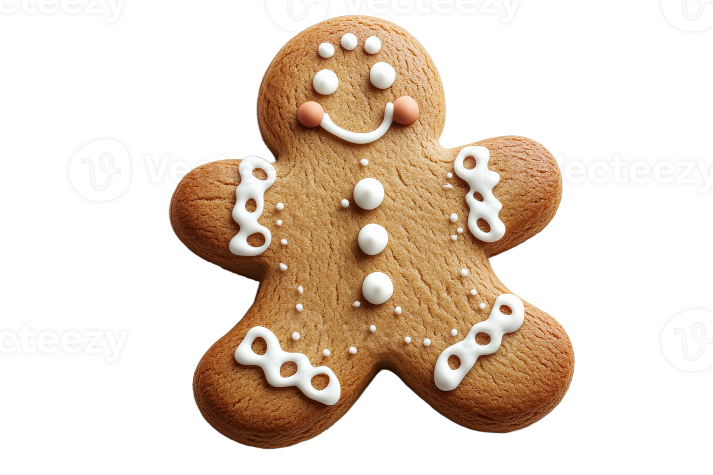 Gingerbread cookie decorated with icing and patterns png