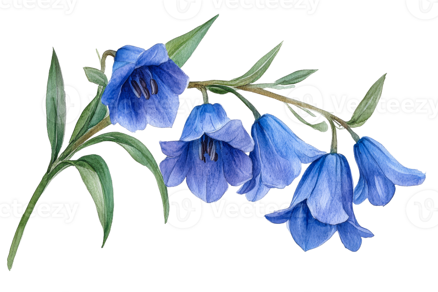 Beautiful blue flowers with delicate petals and leaves png
