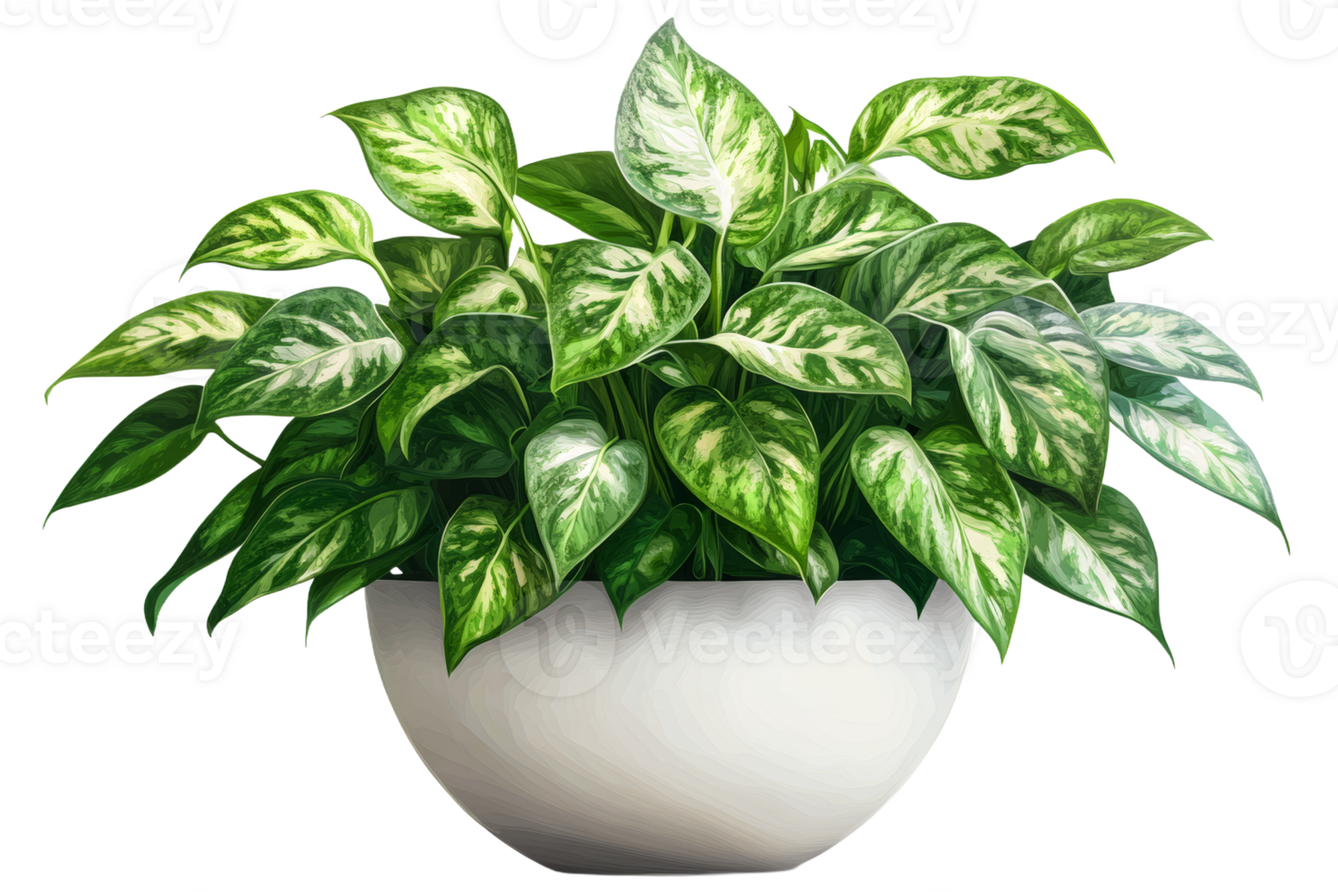 Green plant in white pot, transparent background png